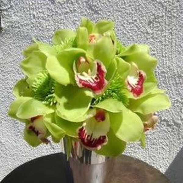 Green orchid bouquet in a silver vase