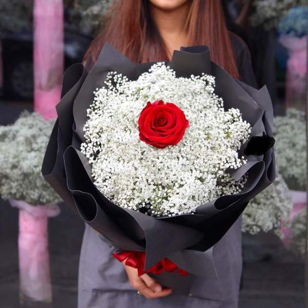 Bouquet of one red rose surrounded by white baby's breath in black wrap