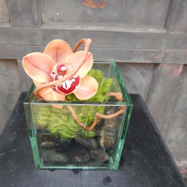 Orchid arrangement in a square glass container with stones