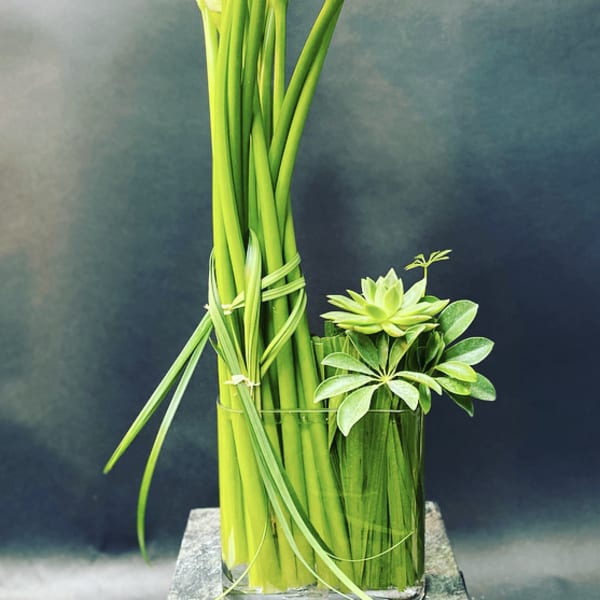 White calla lilies in a tall glass vase beside a small succulent arrangement