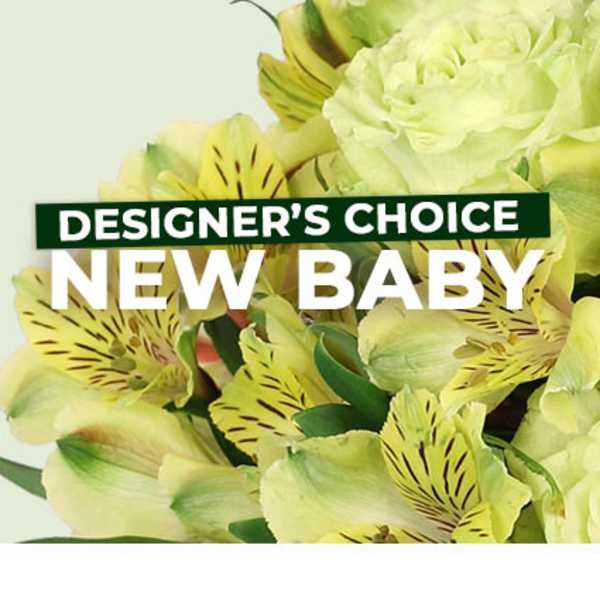 New Baby Floral Arrangement - Designer's Choice