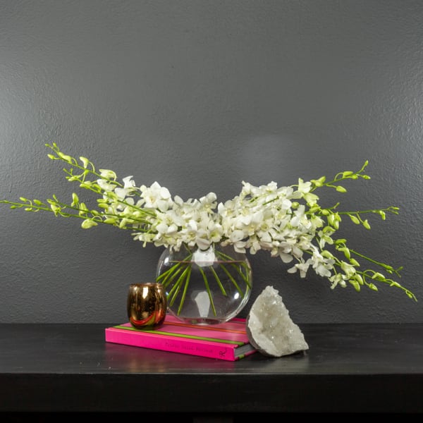 White orchid arrangement in a round glass vase with long arching stems