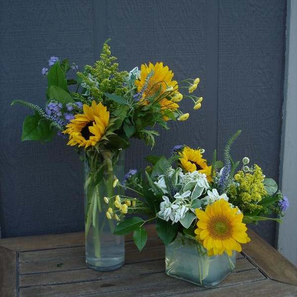 Two sunflower bouquets in glass vases on a wooden table