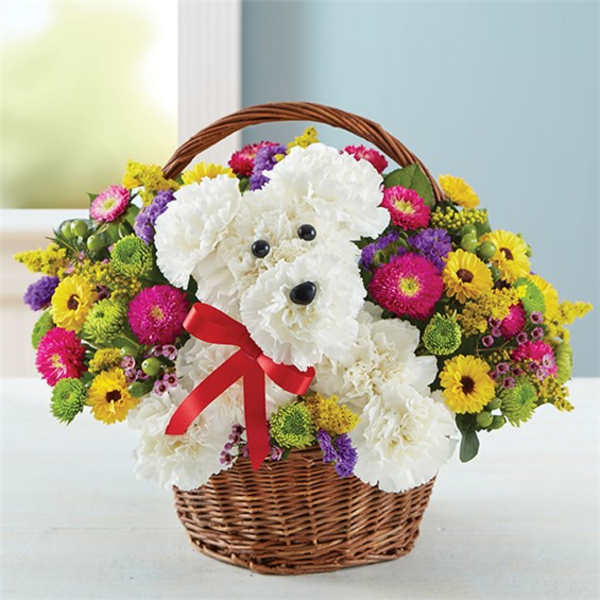 Basket of white flowers arranged as a dog with a red ribbon