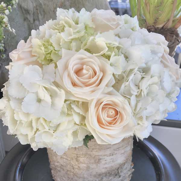 Cream roses and white hydrangeas arranged in a birch container