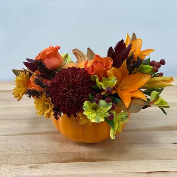 Happy Harvest