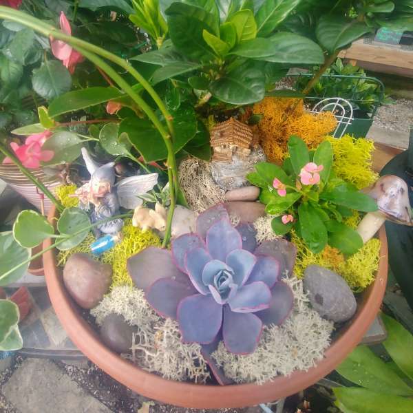 Potted succulent arrangement with stones and small decorative figurines