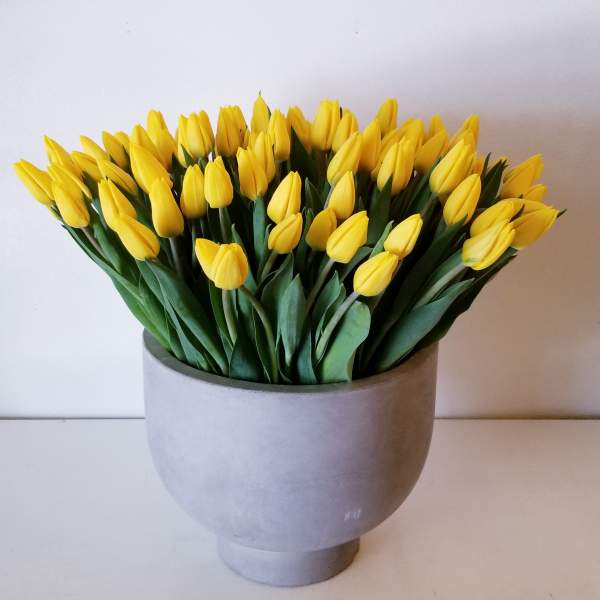 Yellow tulips arranged in a gray vase