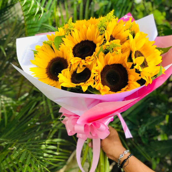 manual de girasoles