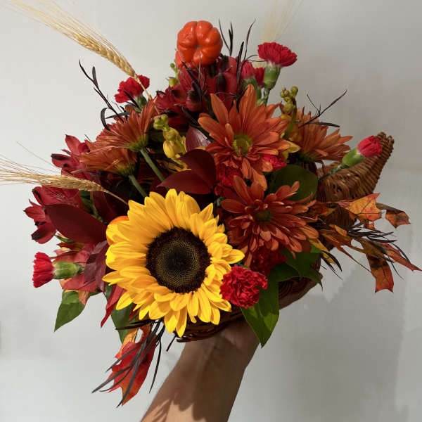 Mini Cornucopia