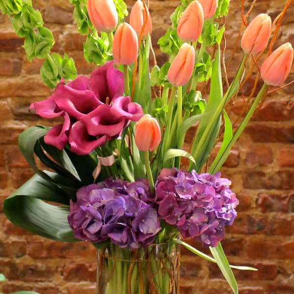 Tall vase arrangement with peach tulips, purple hydrangeas, and magenta calla lilies