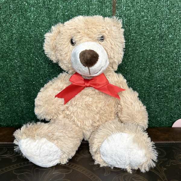 Beige teddy bear with a red ribbon sitting against a green backdrop