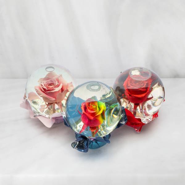 Three roses preserved in clear glass domes with ribbon bases