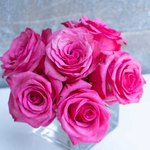 Bouquet of bright pink roses in a clear glass vase