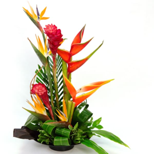 Tropical flower arrangement with orange bird-of-paradise and red ginger in a low container