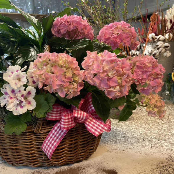 Pink hydrangea arrangement in a wicker basket with a gingham ribbon