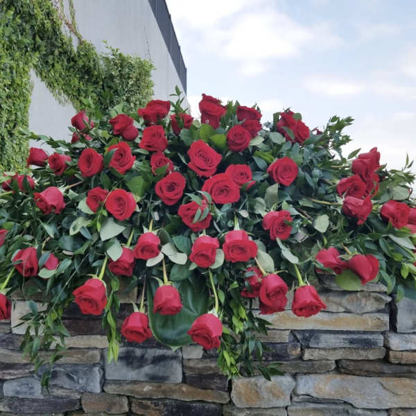 Large arrangement of red roses draped over a stone wall