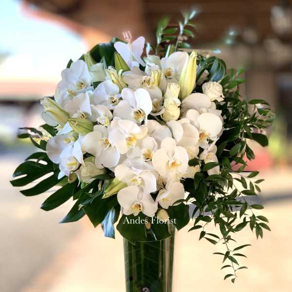 White orchid and lily arrangement in a tall glass vase