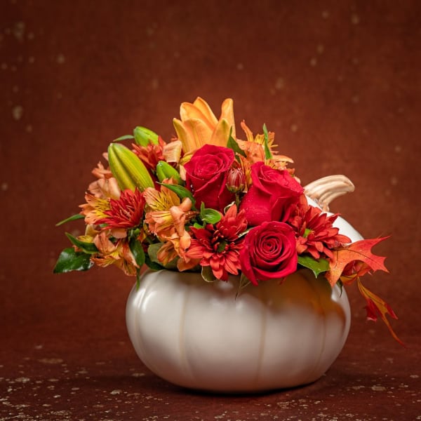Enchanted Harvest White Pumpkin