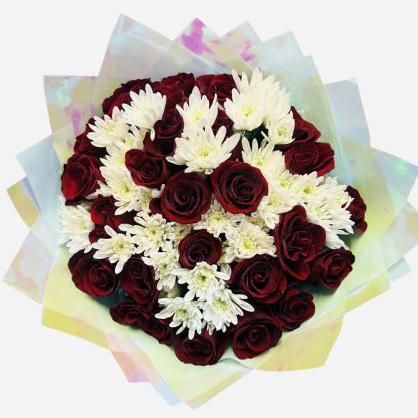 Bouquet of red roses and white daisies wrapped in pastel iridescent paper