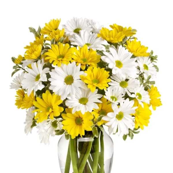 Yellow and white daisies in a clear glass vase