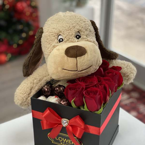 Plush dog in a black gift box with red roses and chocolates