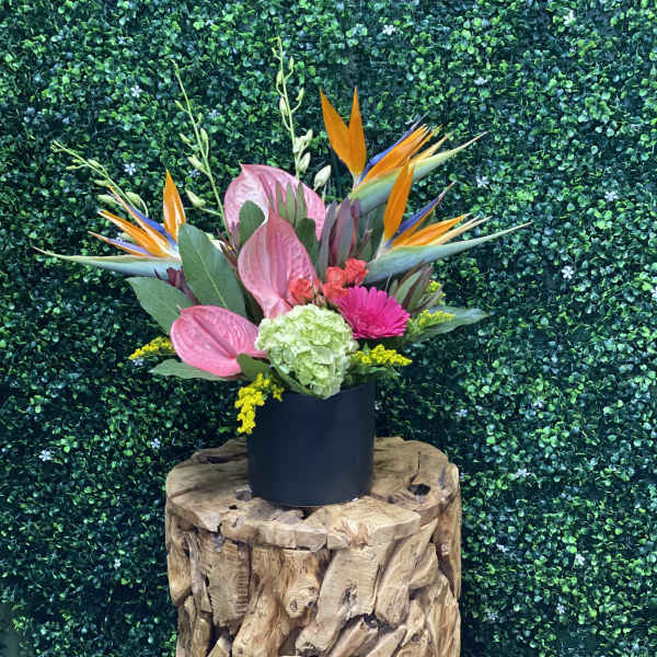 Tropical bouquet with pink anthuriums and bird of paradise in a black vase