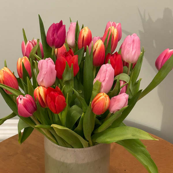 Mixed pink, red, and orange tulips in a silver vase