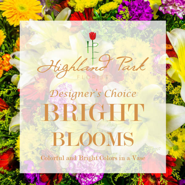Designer's Choice Bright Blooms