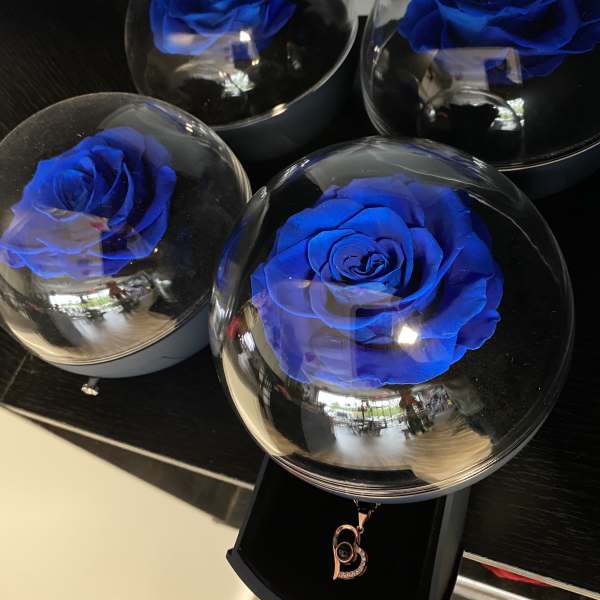 Blue roses in clear domes on black bases