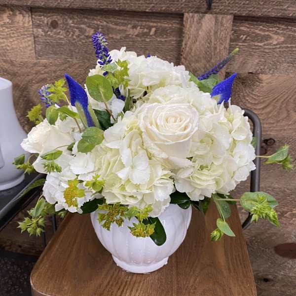 White roses and hydrangeas in a white vase with blue accents