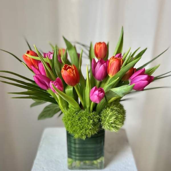 Pink and orange tulips arranged in a square glass vase with green accents