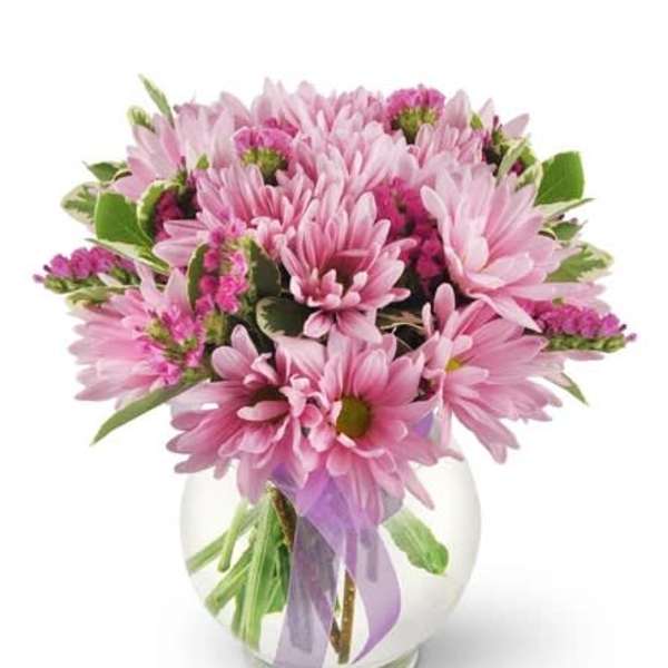 Pink daisy bouquet in a clear glass vase with a lavender ribbon