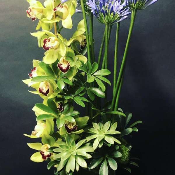 Tall arrangement of yellow orchids and purple agapanthus in a vase