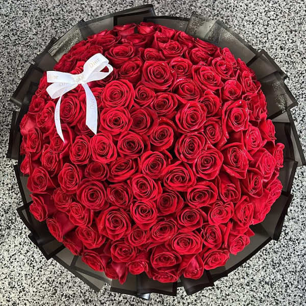 Large bouquet of red roses wrapped in black paper with a white ribbon