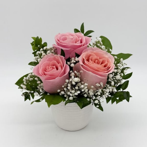 Three pink roses in a white pot with baby's breath