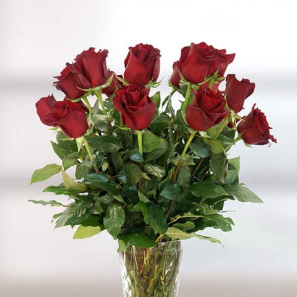 Red roses arranged in a clear glass vase