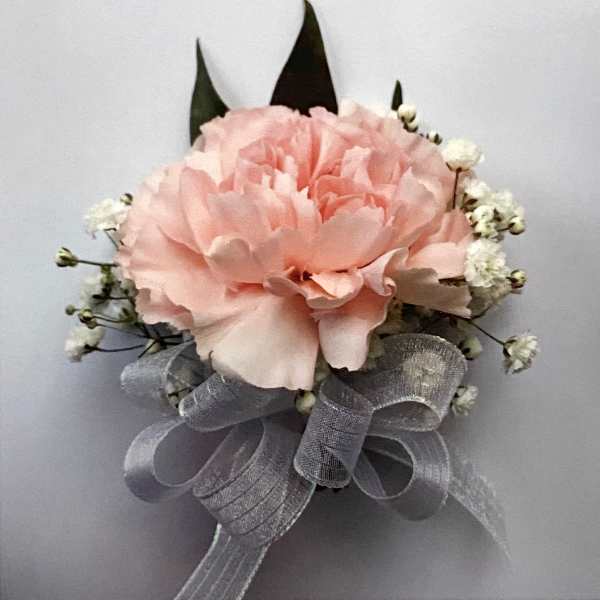 pink carnation corsage