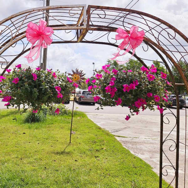 Set of 2 Hanging Plant Baskets