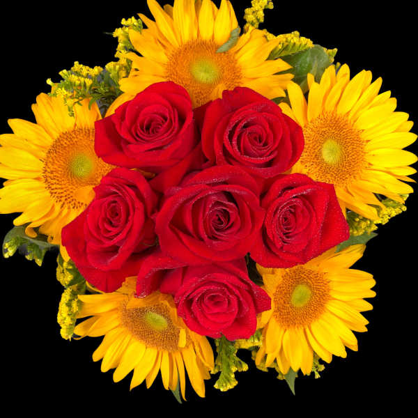 Bouquet of red roses and yellow sunflowers on a black background