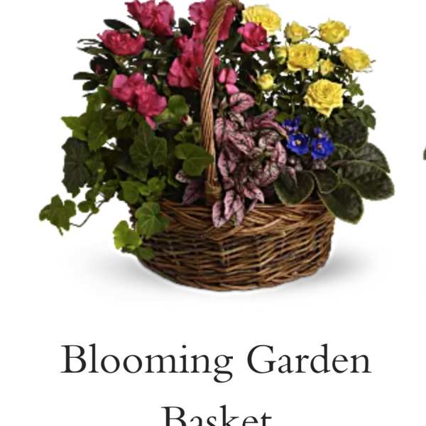 Mixed flower basket with pink and yellow blooms in a wicker basket
