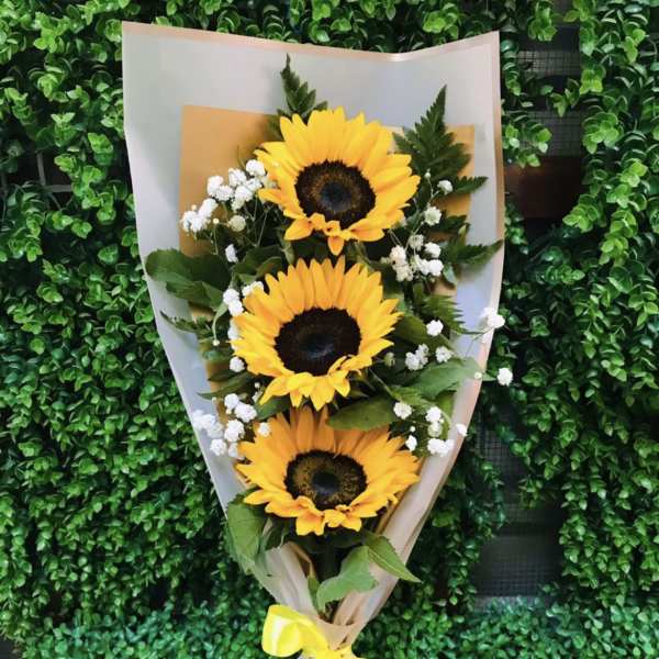3 Sunflowers Wrapped