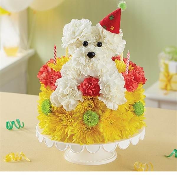 BIRTHDAY WISHES FLOWER CAKE- PUPCAKE