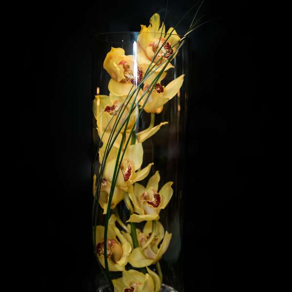 Yellow orchids arranged in a tall glass vase with long grass blades