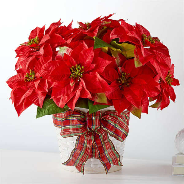 Red poinsettia arrangement in a white basket with a plaid bow