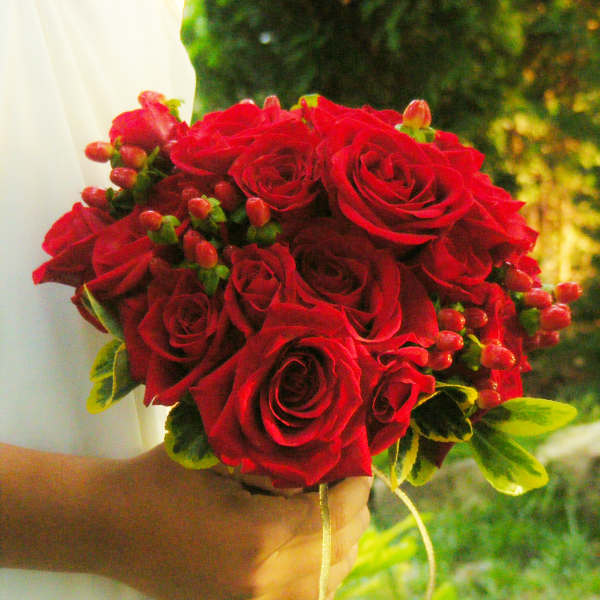 Handheld bouquet of red roses with small berry accents