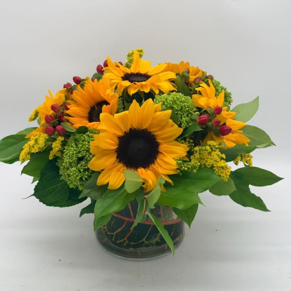 Sunflower arrangement in a glass vase with green filler and red berry accents