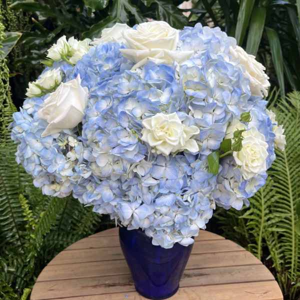 Blue hydrangea and white rose arrangement in a cobalt vase