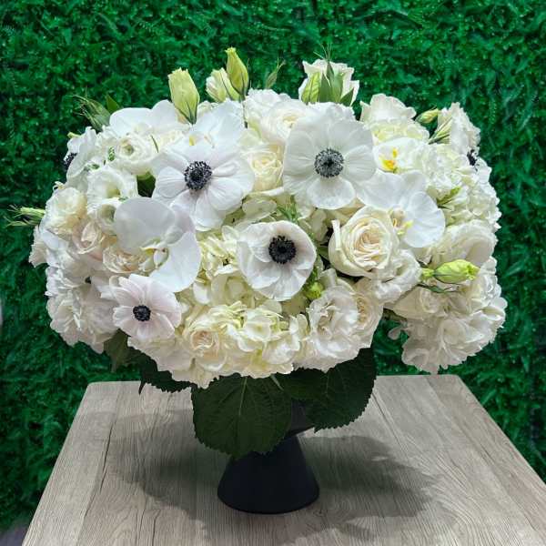 White Elegance in a black vase