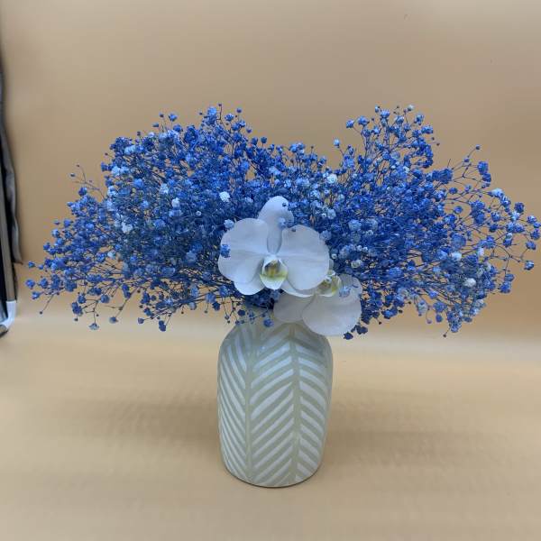 Blue baby's breath arrangement with white orchids in a patterned vase